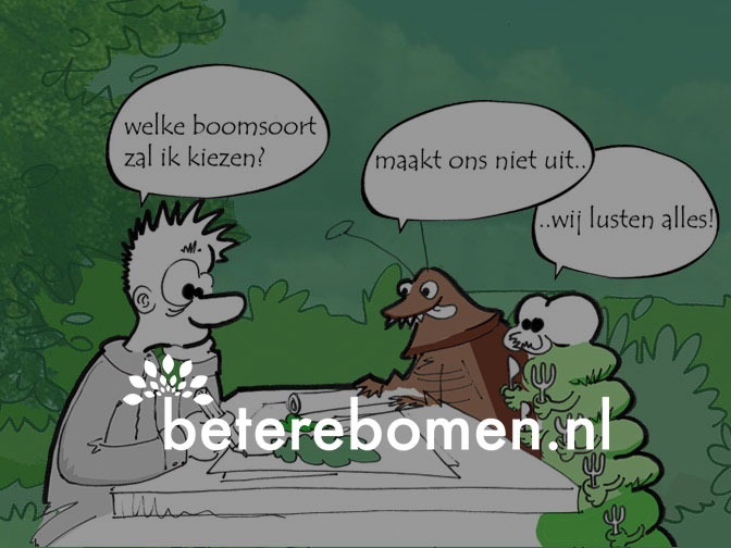 Betere Bomen Knowledge Base